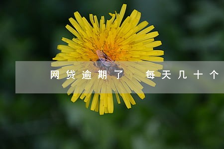 网贷逾期了 每天几十个电话 网贷逾期了 每天几十个电话